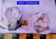 Patru traficanți de droguri din Bistrița-Năsăud, prinși cu 4 kg de substanțe psihoactive! Doi au ajuns după gratii