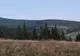 Bărbat din Bistrița-Năsăud, găsit spânzurat lângă o pădure în Maramureș