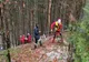FOTO: Bărbat din Bistrița-Năsăud, decedat după ce a fost lovit de un copac într-o pădure