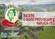Campanie de informare și conștientizare pentru gestionarea deșeurilor, derulată în toate localitățile din Bistrița-Năsăud