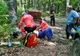 Tractor răsturnat într-o pădure din Dumbrăveni! Un bărbat a ajuns la spital
