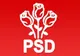 Femeile social-democrate din Bistrița-Năsăud se pregătesc de alegeri! Cand va avea loc Conferința județeană