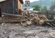 FOTO: Percheziții la trei firme de exploatarea lemnului din Bistria-Năsăud! Trei administratori, reținuți