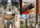 Reabilitarea Liceului de Muzică Tudor Jarda, într-un stadiu avansat! Când trebuie finalizate lucrările