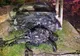Accident in Bistrița Bârgăului! Doi tineri au ajuns la spital
