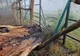 Furtunile au făcut ravagii în mai multe zone din țară