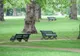 Ce se întâmplă cu spațiile verzi, proiectul care poate schimba totul