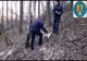 PĂDURAR REȚINUT DUPĂ CE AR FI PERMIS TĂIEREA ILEGALĂ A PESTE 460 DE ARBORI