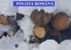 Din cauza pestei porcine, controale severe pe drumurile din Bistrița-Năsăud! Într-o singură zi, au curs amenzi în valoare de circa 30.000 lei și câțiva zeci de metri cub de lemn au fost confiscați