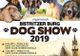 Expoziţia internaţională de frumuseţe canină "Bistritzer Burg DOG SHOW 2019", între 6 și 7 aprilie, la Bistrița