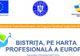 Proiectul ”Bistrița, pe harta profesională a Europei”, la final