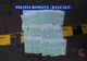 Doi bărbaţi, prinși de polițiști în timp ce tăiau ilegal arbori. Ce sancțiuni au primit?