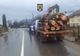 Amenzi de peste 10.000 lei, aplicate de polițiștii din Bistrița-Năsăud, transportatorilor de material lemnos